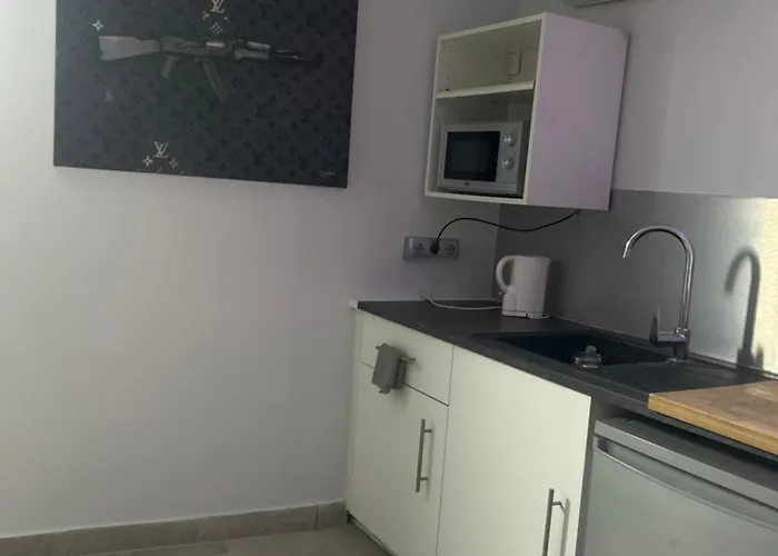 Apartment Le De Lucie Villeurbanne